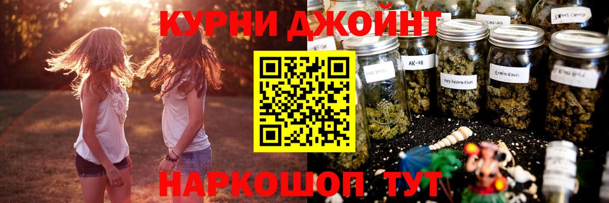 Бошки Шишки семена Новошахтинск
